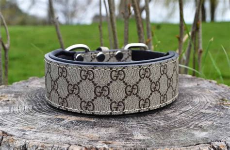 gucci dogs|authentic Gucci dog collar.